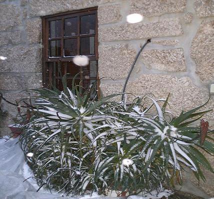 Casa Das Lages Alvoco da Serra Dış mekan fotoğraf